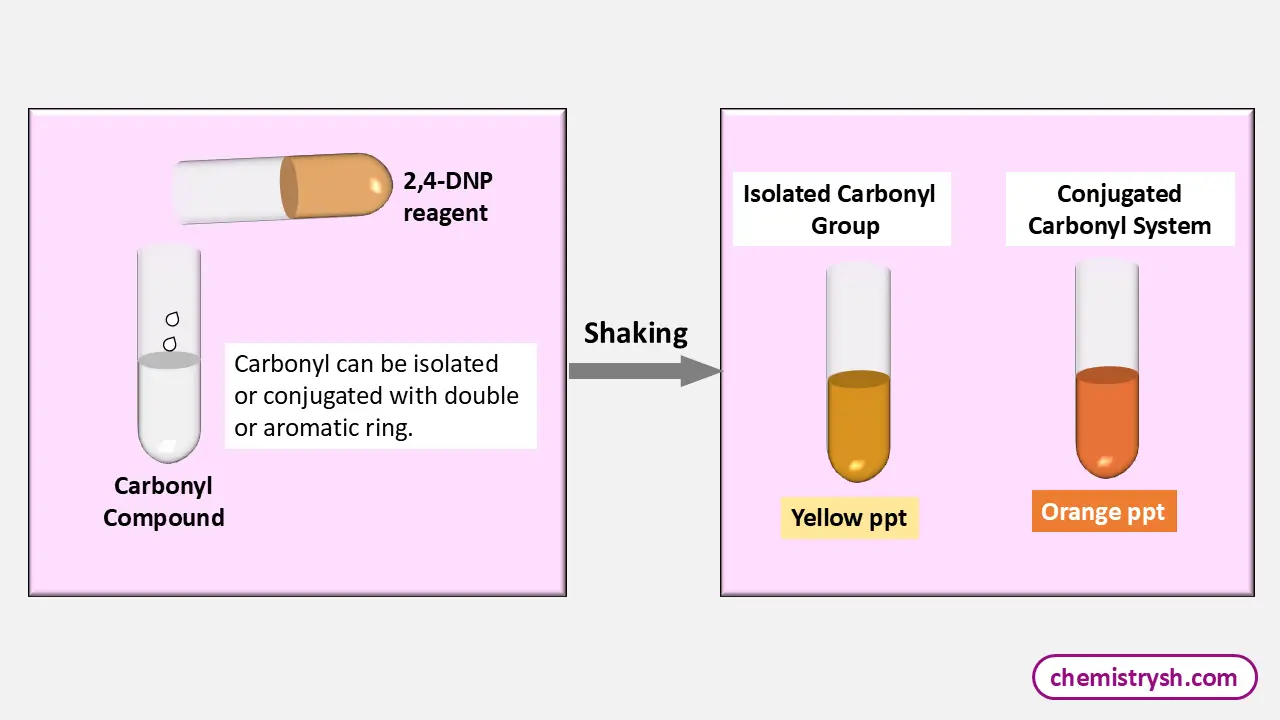 This diagram illustrates the 2,4 dinitrophenyl hydrazine test where carbonyl compounds react to form yellow precipitate for isolated carbonyl groups and orange precipitate for conjugated carbonyl systems