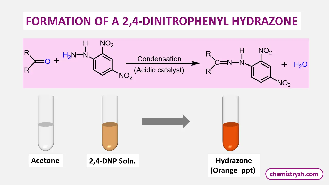 This diagram showing the reaction of acetone with 2,4 dinitrophenyl hydrazine forming a yellow hydrazone precipitate in the carbonyl compound test.