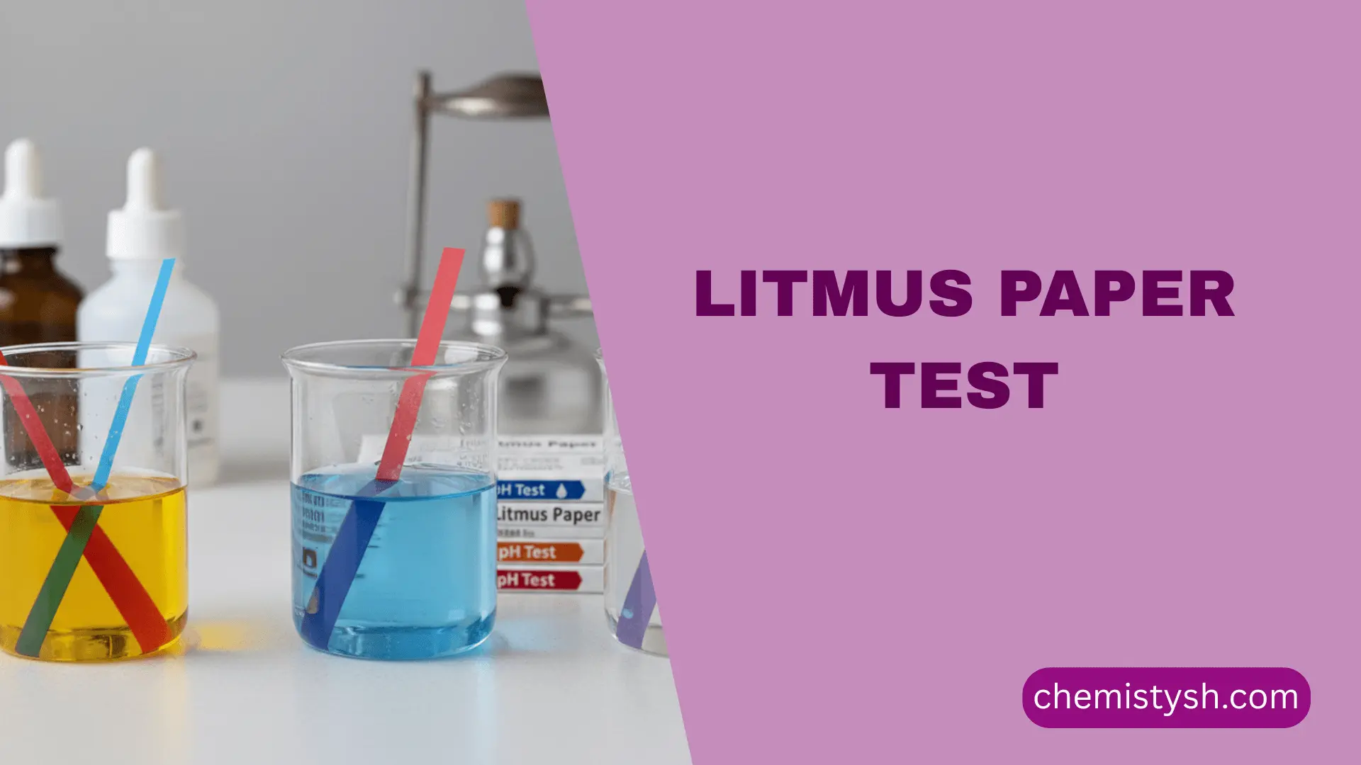 beakers showing litmus paper changing color in different solutions.
