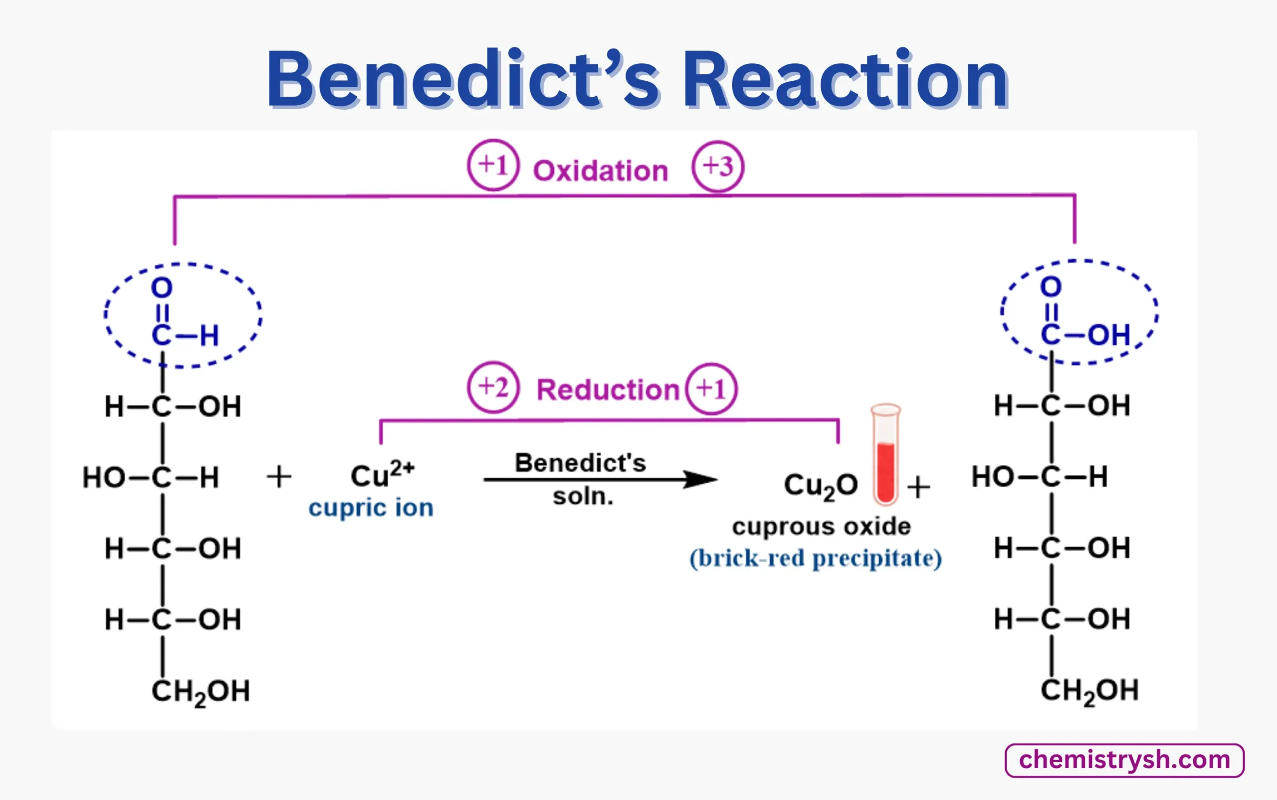Redox reaction representing benedict's test principle.