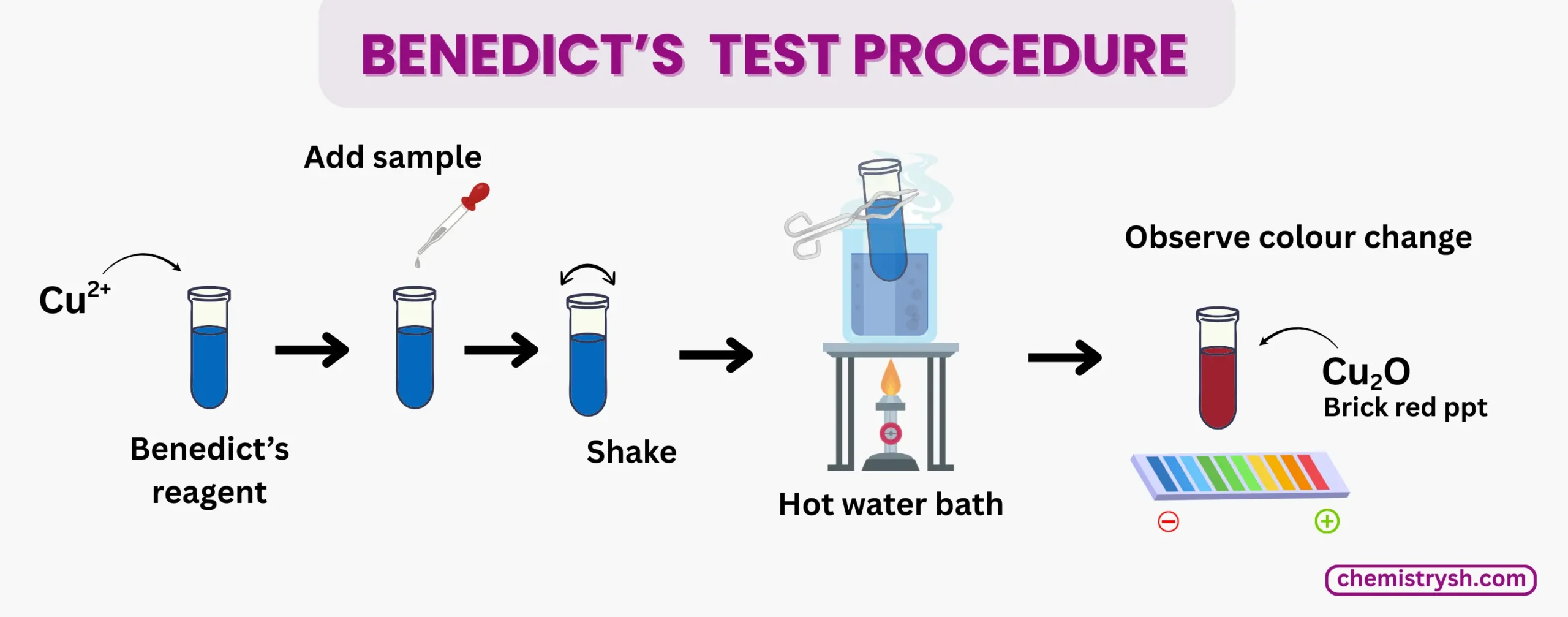 Step by step representation of benedict's procedure with test tubes.