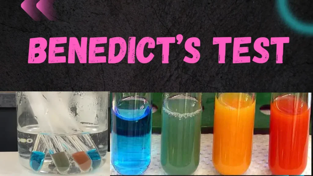 benedicts test