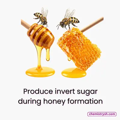 Honey bee naturally produuce invert sugar ( glucose and fructose) during honey formation.