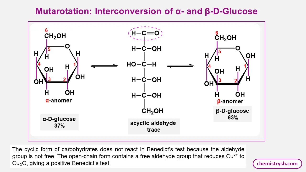 Role of mutarotation in benedict's test