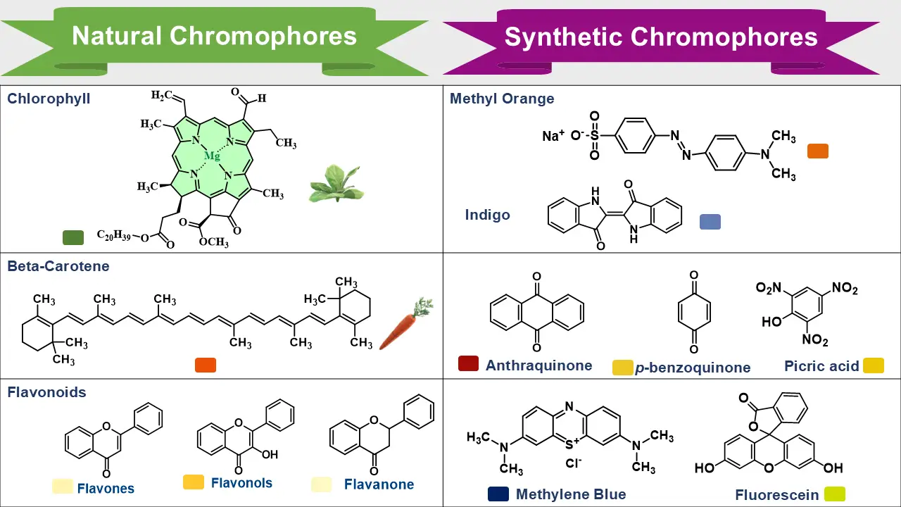 This image explain how Natural chromophores and Synthetic chromophores produce different colors