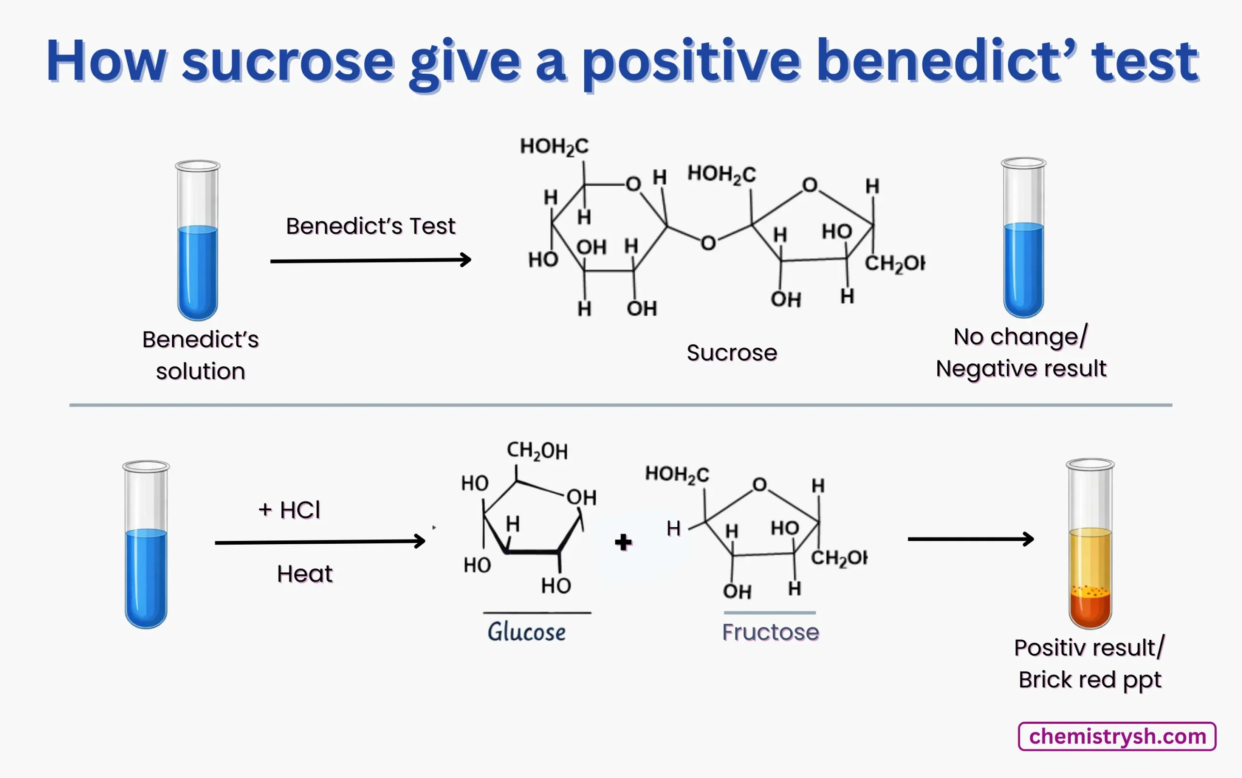 Representation of non reducing sugar ( sucrose) after being hydrolysed give positive benedict's test.