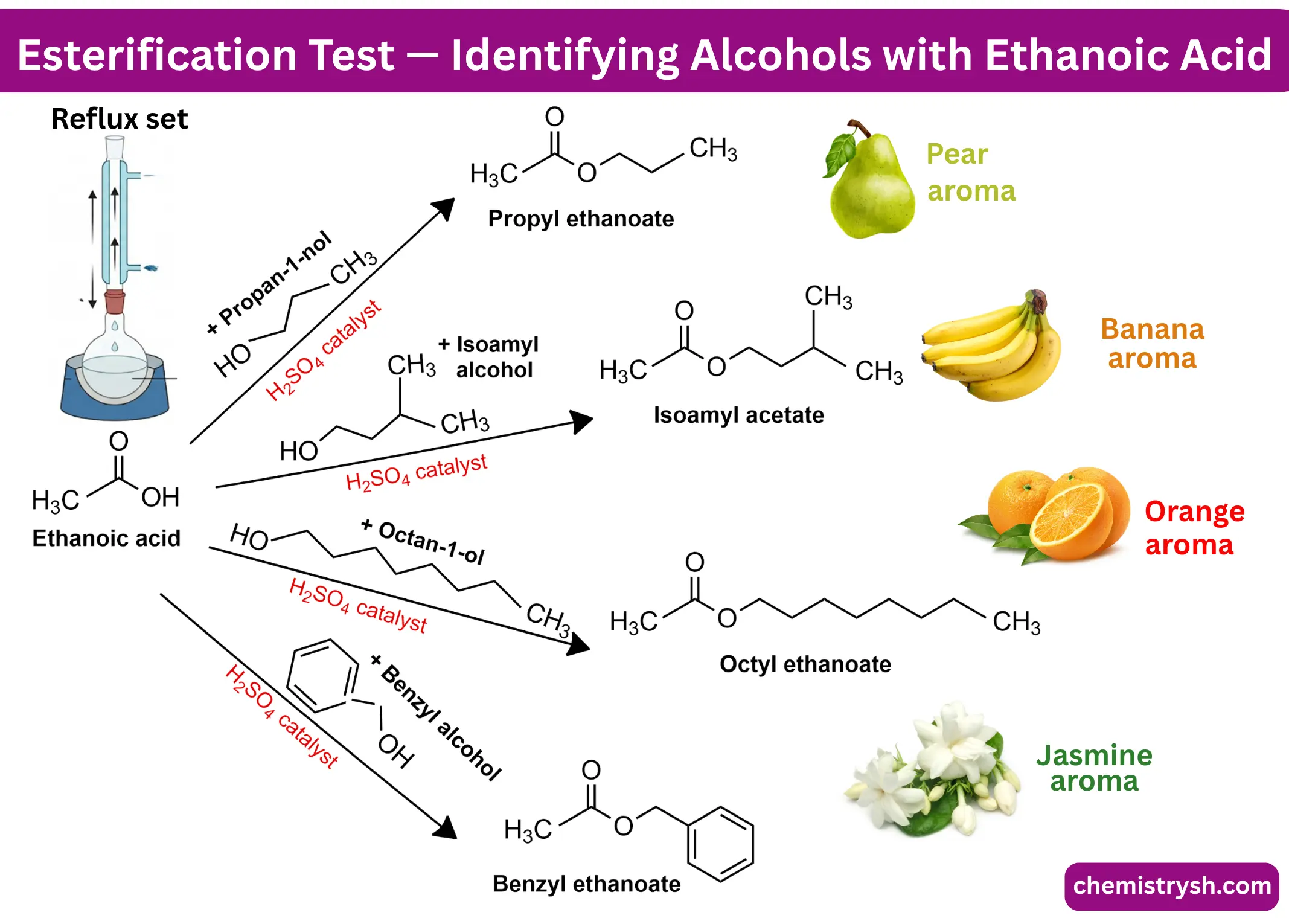 Esterification reactions diagram showing ethanoic acid reacting with four alcohols to produce four fruit-scented esters. Used to identify unknown alcohols in organic chemistry practical tests.