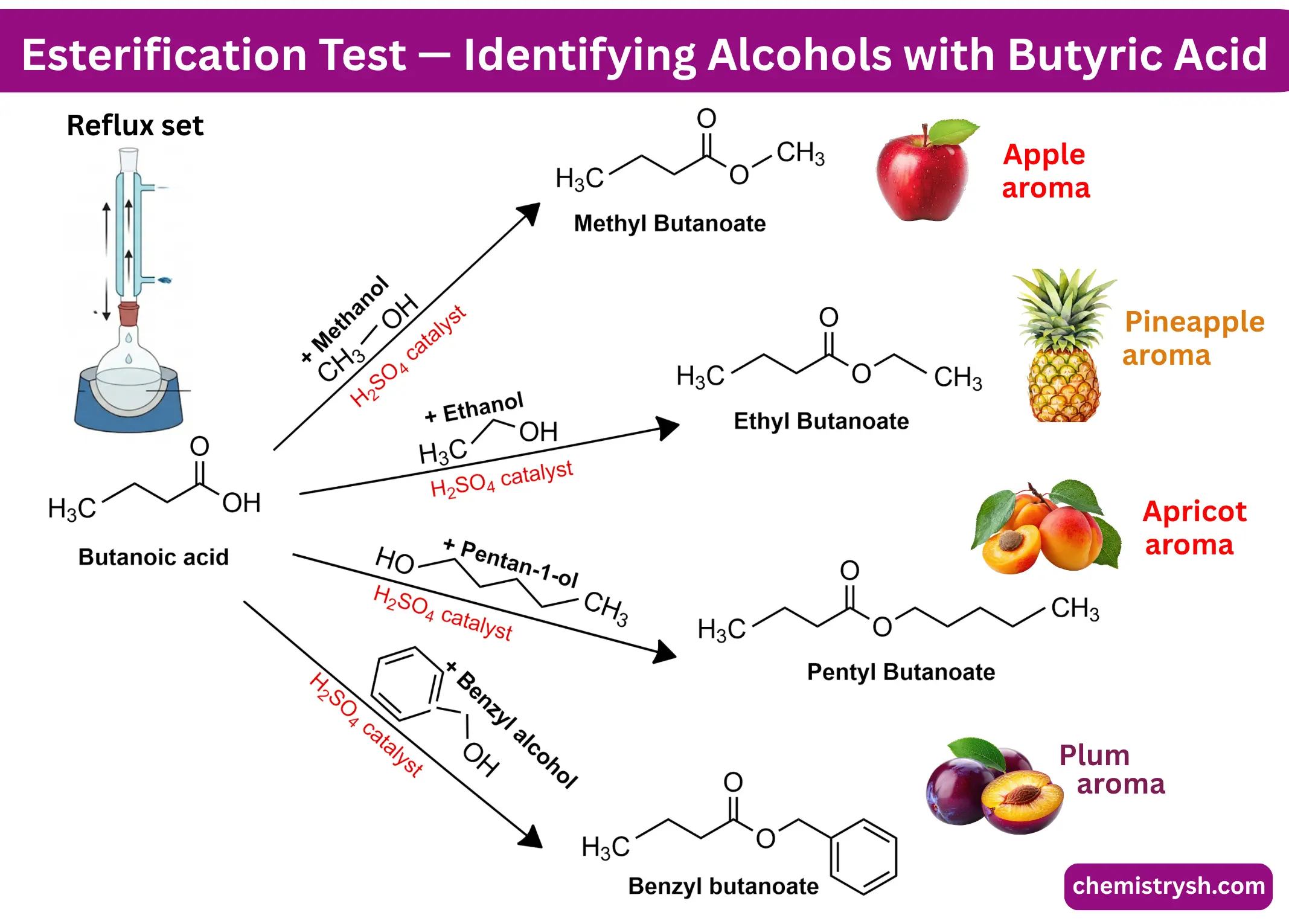 Esterification reactions diagram showing butanoic acid reacting with four alcohols — methanol, ethanol, pentan-1-ol, and benzyl alcohol — to produce four fruit-scented esters. Used to identify unknown alcohols in organic chemistry practical tests.