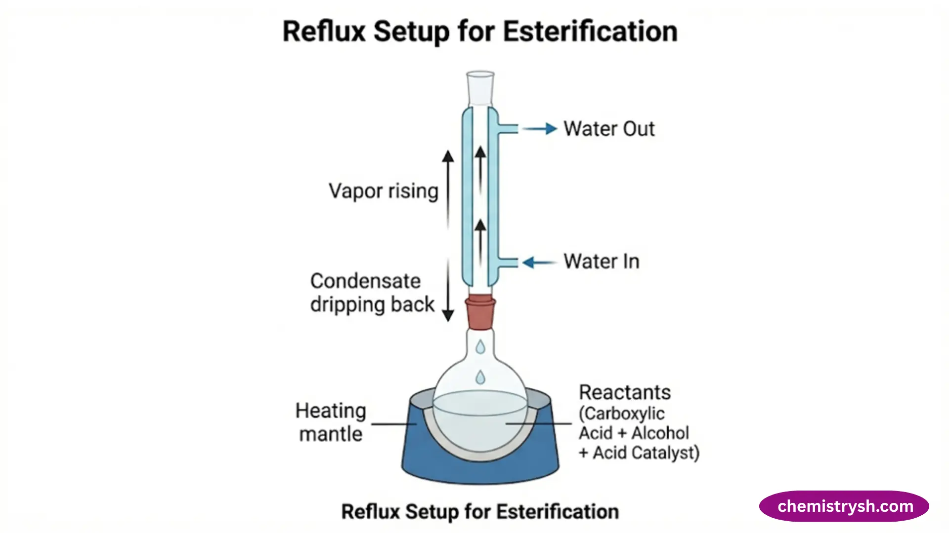 a laboratory reflux setup for esterification