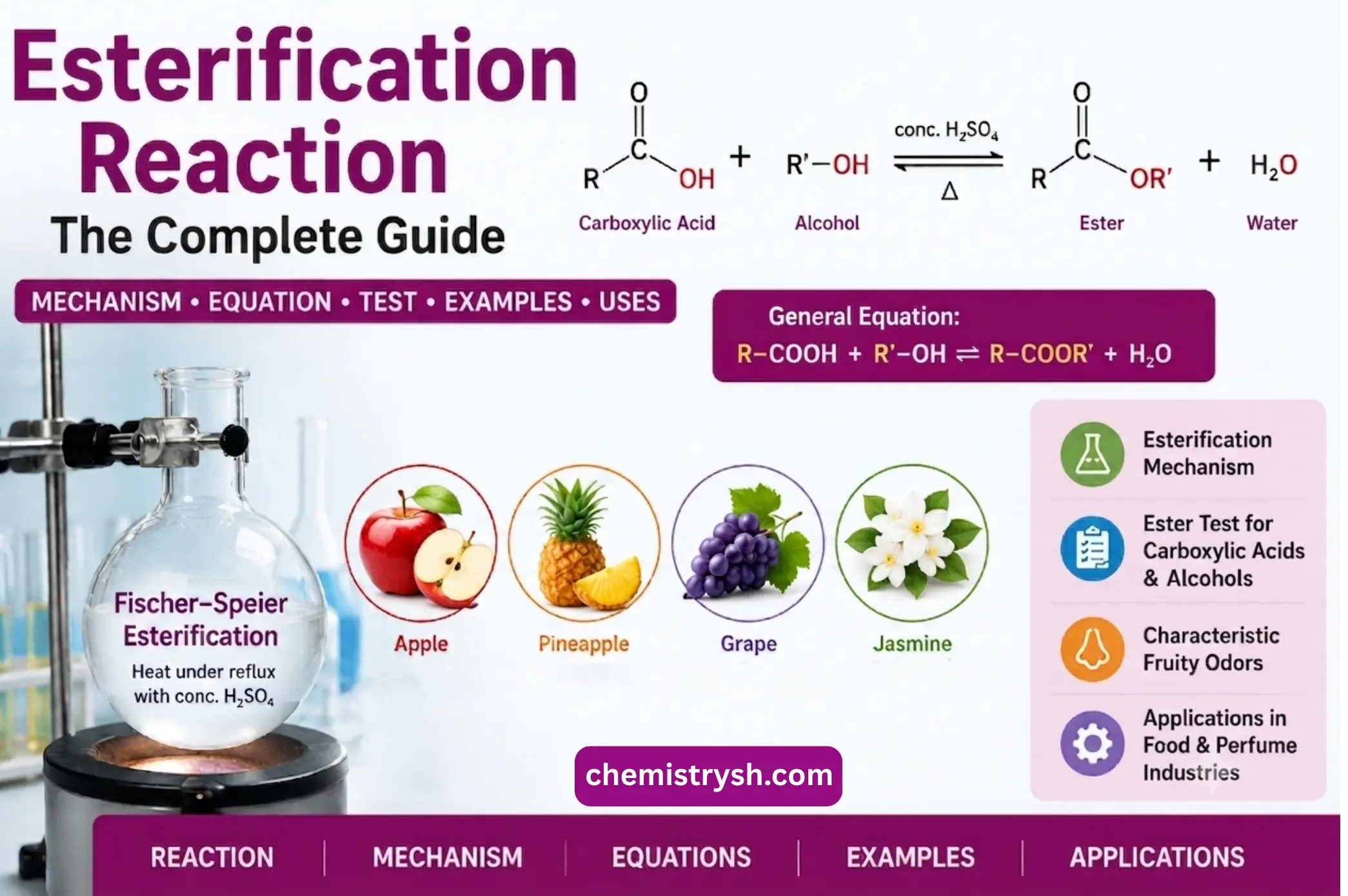 Esterification Reaction and Esterification Test: The Complete Guide 2026.