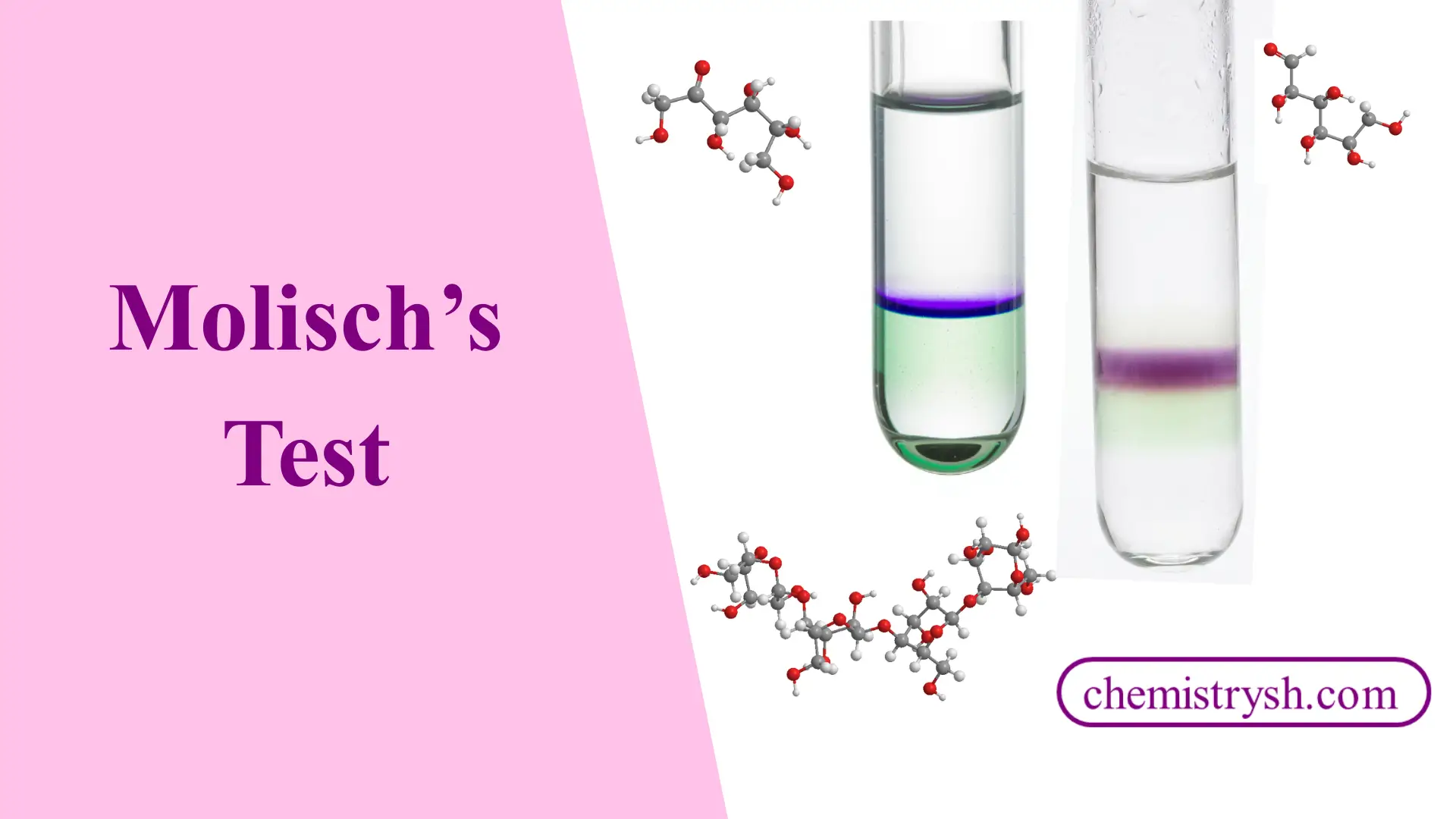 Molisch Test: Principle, Procedure, Reaction, Results, Applications, and Mechanism