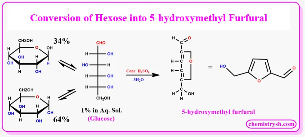 Reaction mechanism illustrating the conversion of hexose sugar glucose into 5-hydroxymethylfurfural (HMF) through dehydration with concentrated sulfuric acid. The figure shows the cyclic and open-chain forms of glucose in aqueous solution and the removal of three water molecules to produce 5-hydroxymethylfurfural, a key intermediate in the Molisch test for carbohydrate detection.