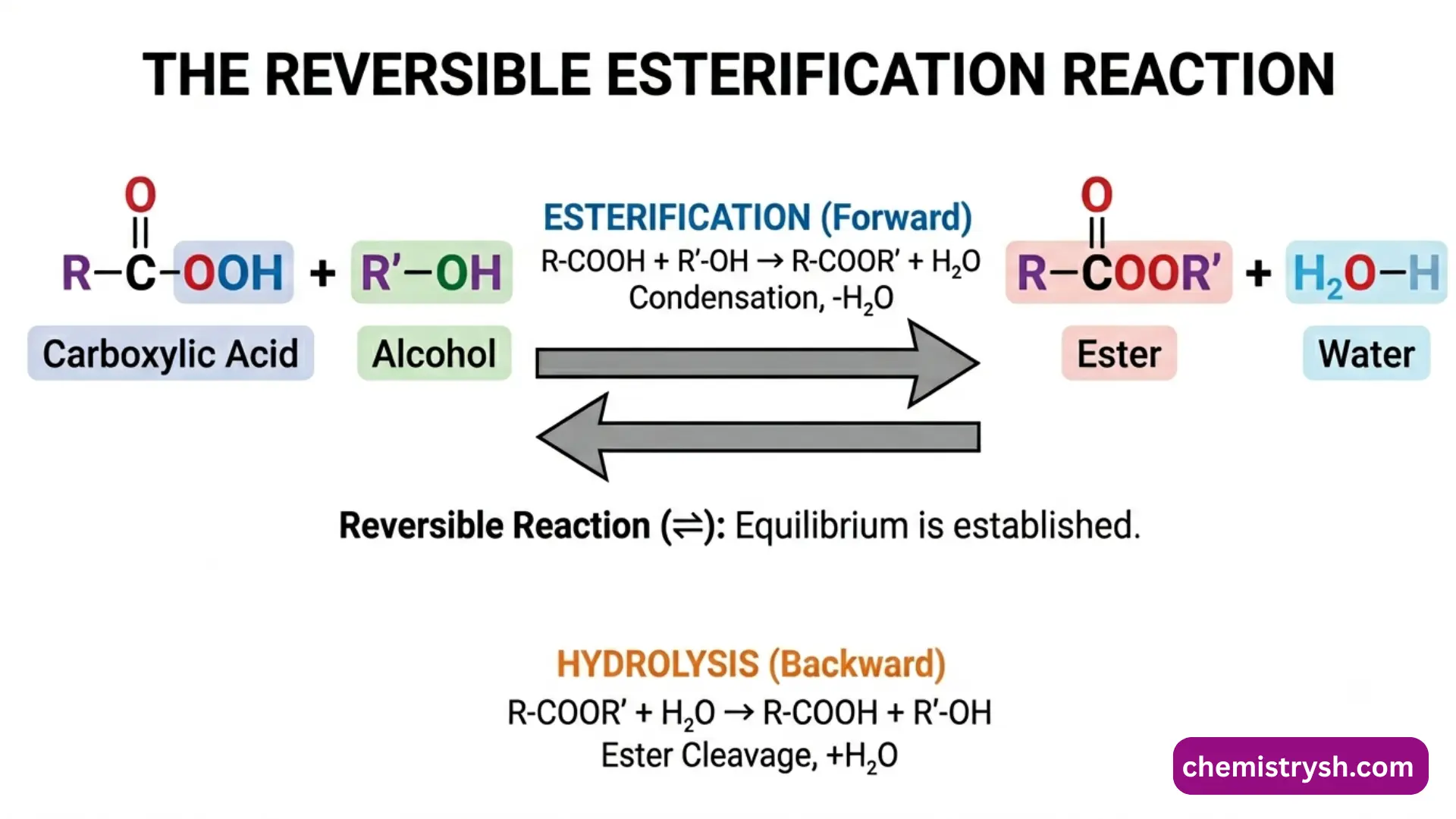 Reversible esterification reaction.