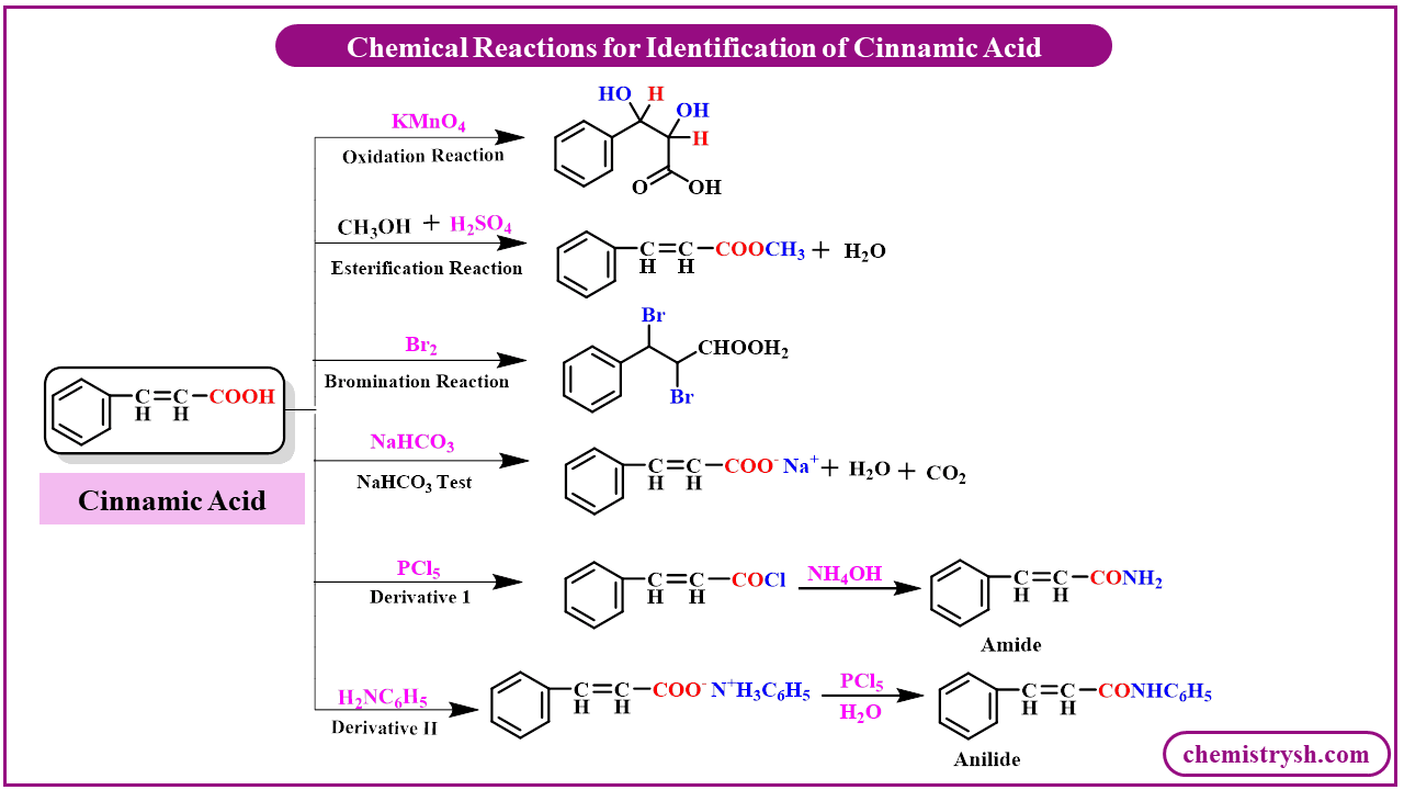 Reaction Scheme: KeyChemical Reactions of Cinnamic Acid hemical reactions of cinnamic acid showing KMnO₄ oxidation, bromination, esterification, NaHCO₃ test, cinnamide, and cinnanilide derivative formation for qualitative identification.