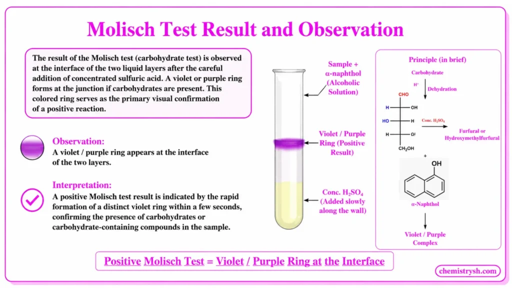 Molisch test result showing a violet ring at the liquid interface, indicating a positive carbohydrate test with the reaction principle and α-naphthol structure.