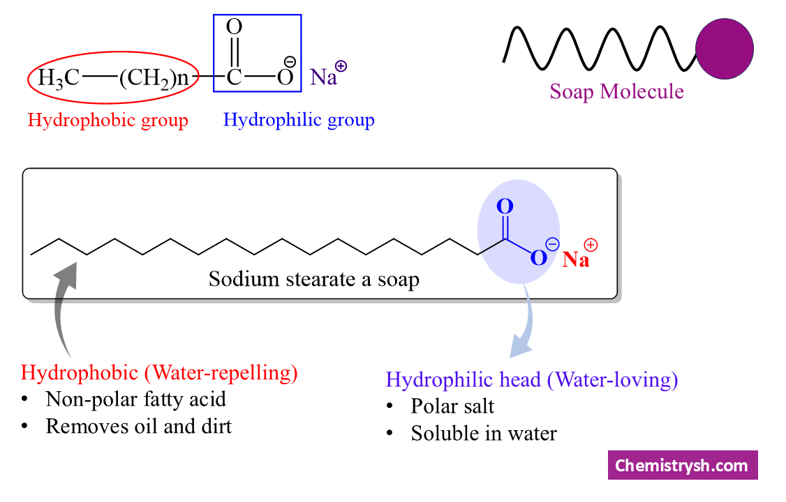 Structure of a soap molecule showing the polar carboxylate head and long non-polar hydrocarbon tail